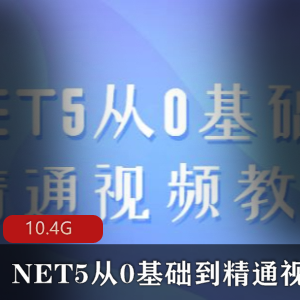 微软（NET5从0基础到精通）视频教程